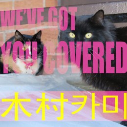 2017-04-berlin-perfo-we-ve-got-you-covered-web