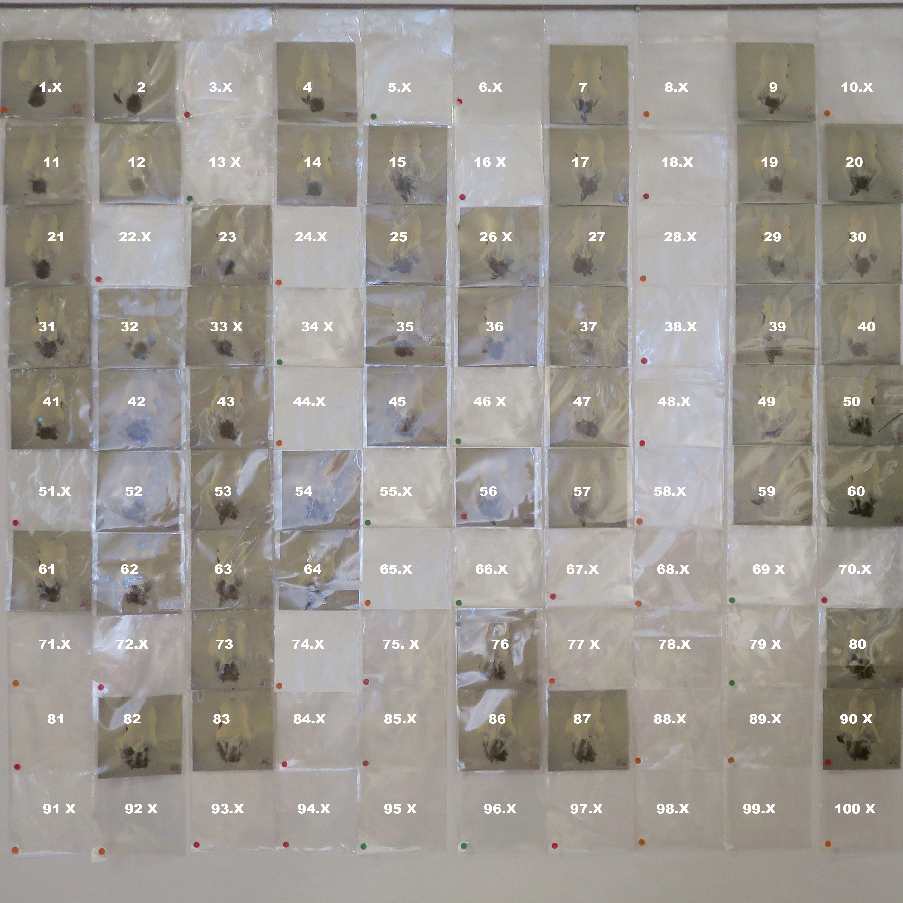 100 golden hair-sold-x